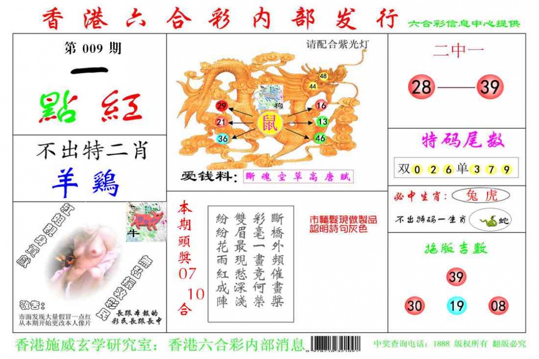 009期一点红[图]