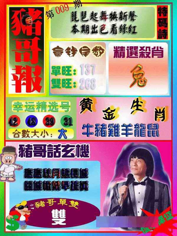 009期猪哥报[图]