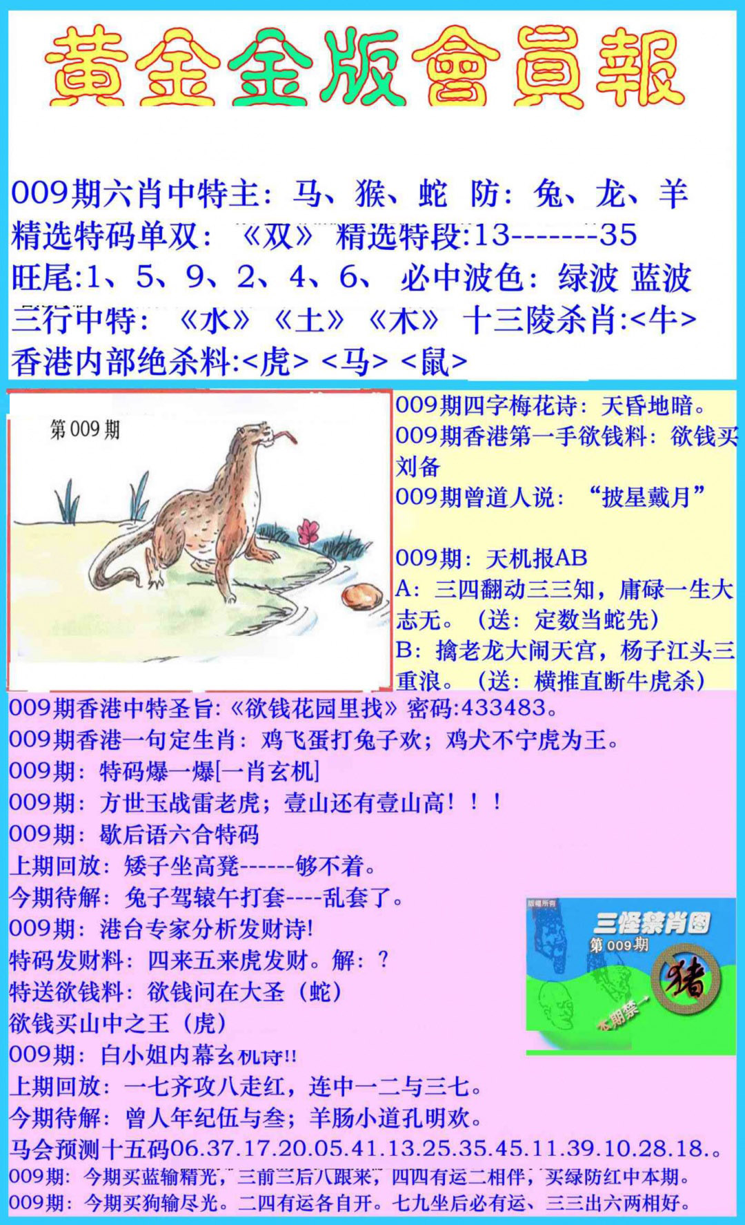 009期黄金金版会员报[图]