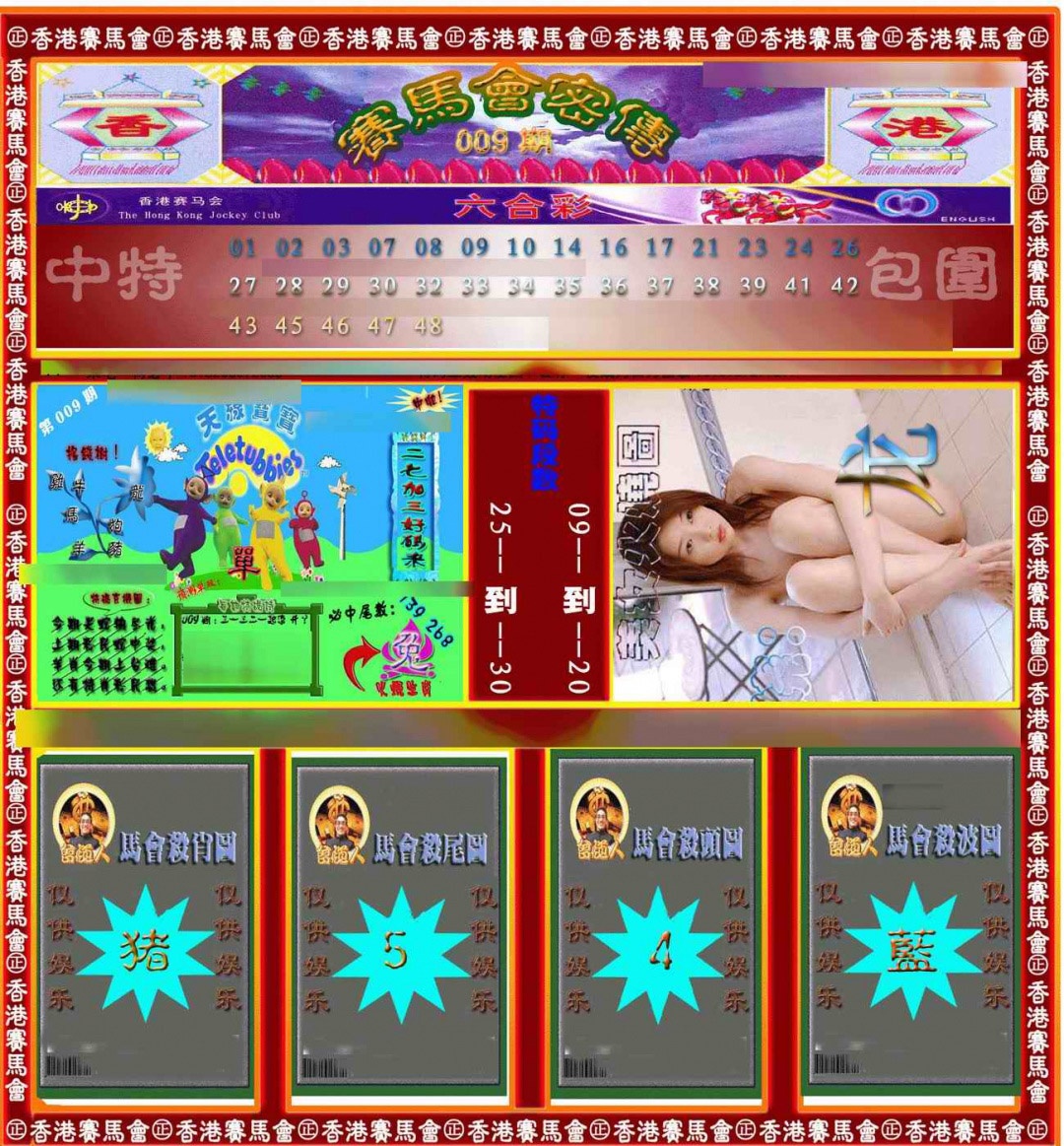 009期赛马会密传[图]