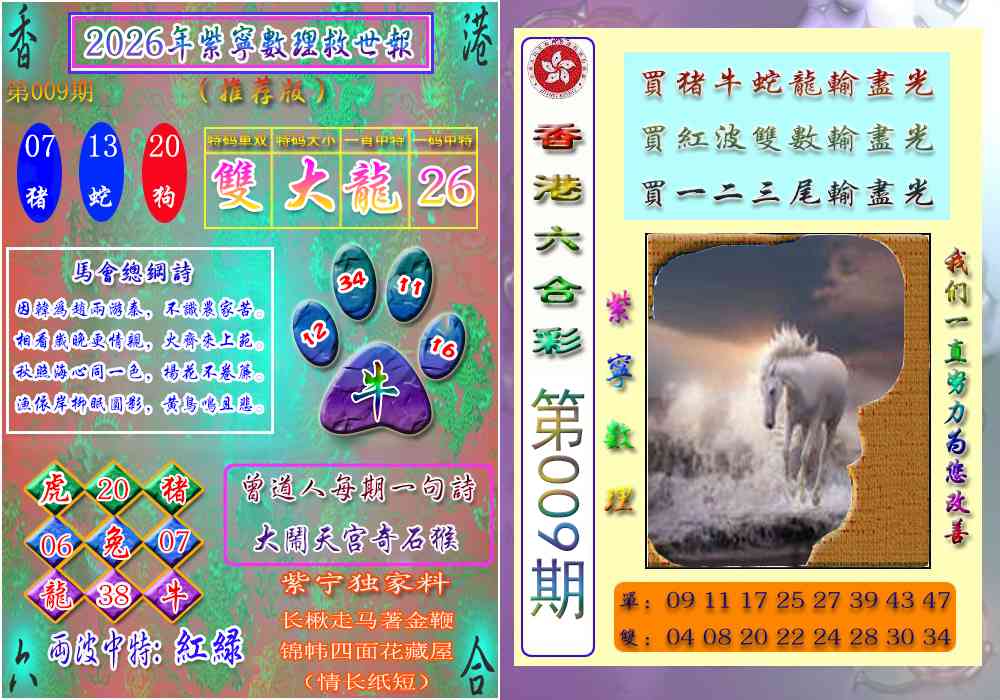 009期数理救世报[图]