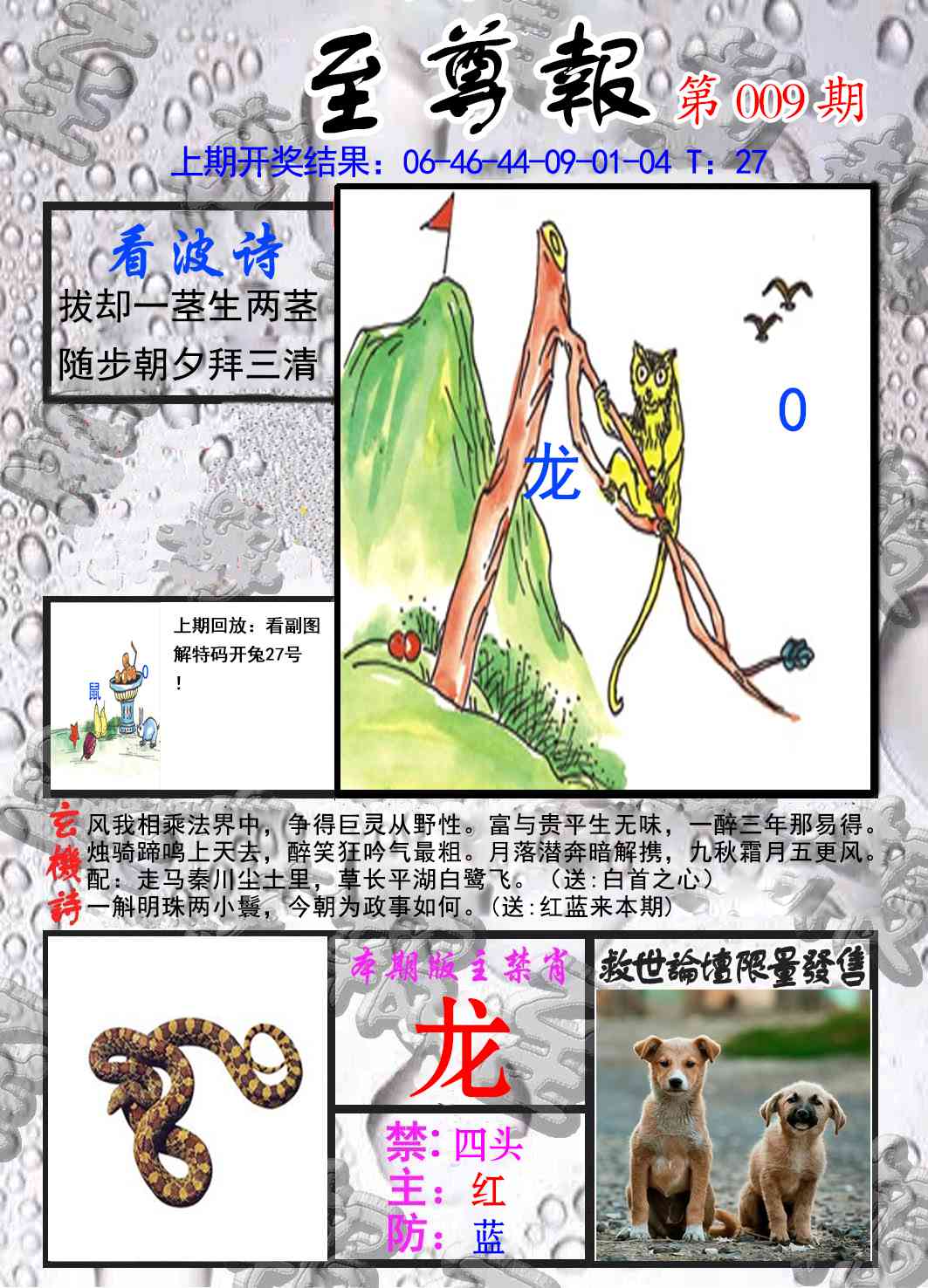 009期至尊报[图]