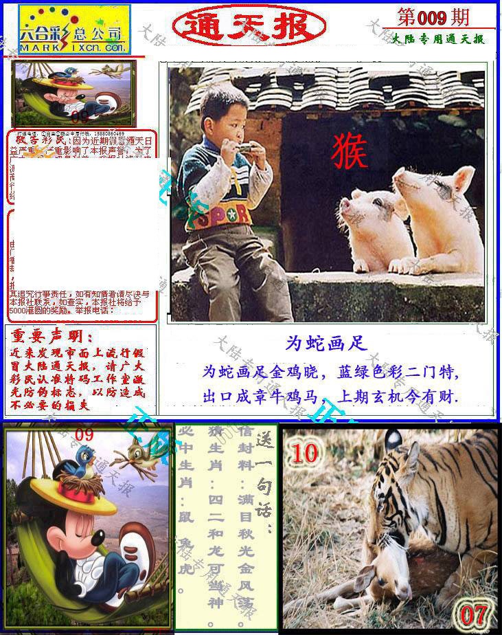 009期大陆通天报[图]