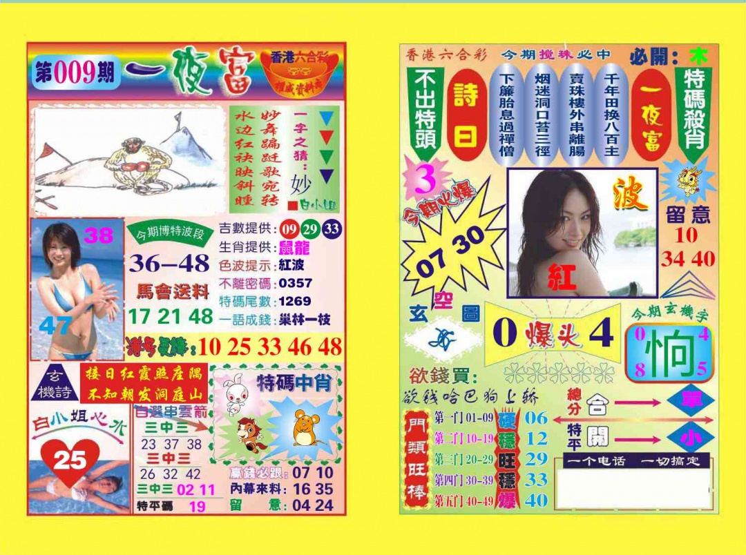 009期一夜富[图]