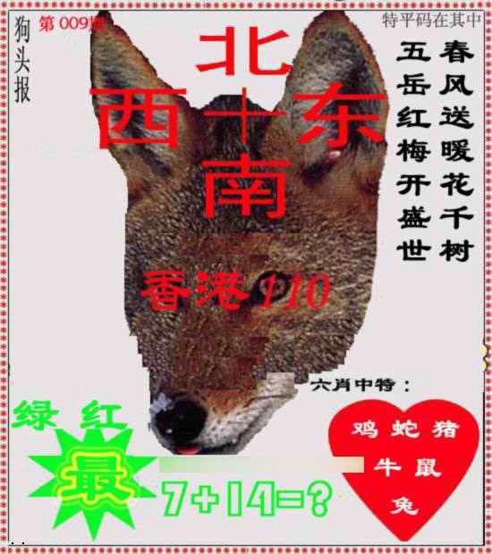 009期狗头报[图]