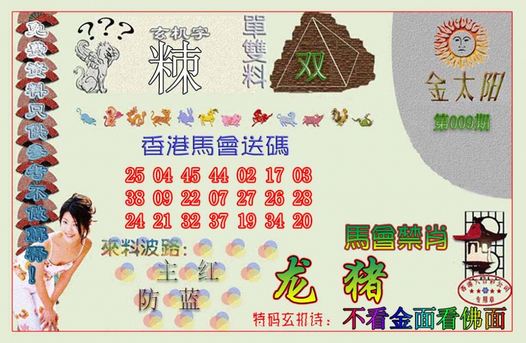 009期金太阳[图]
