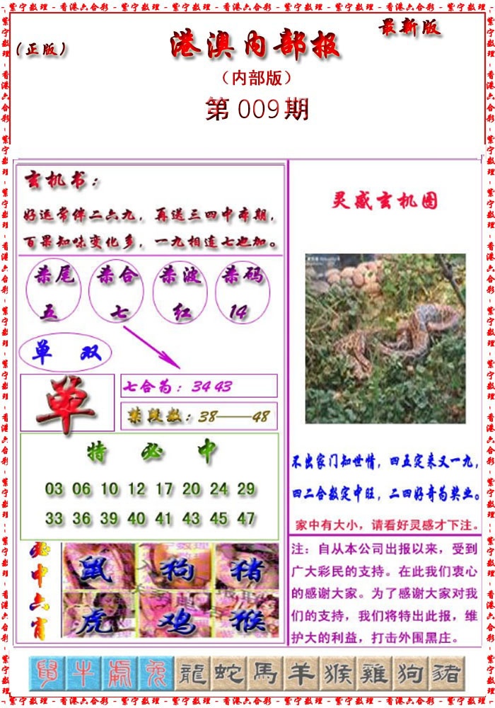 009期港澳报[图]
