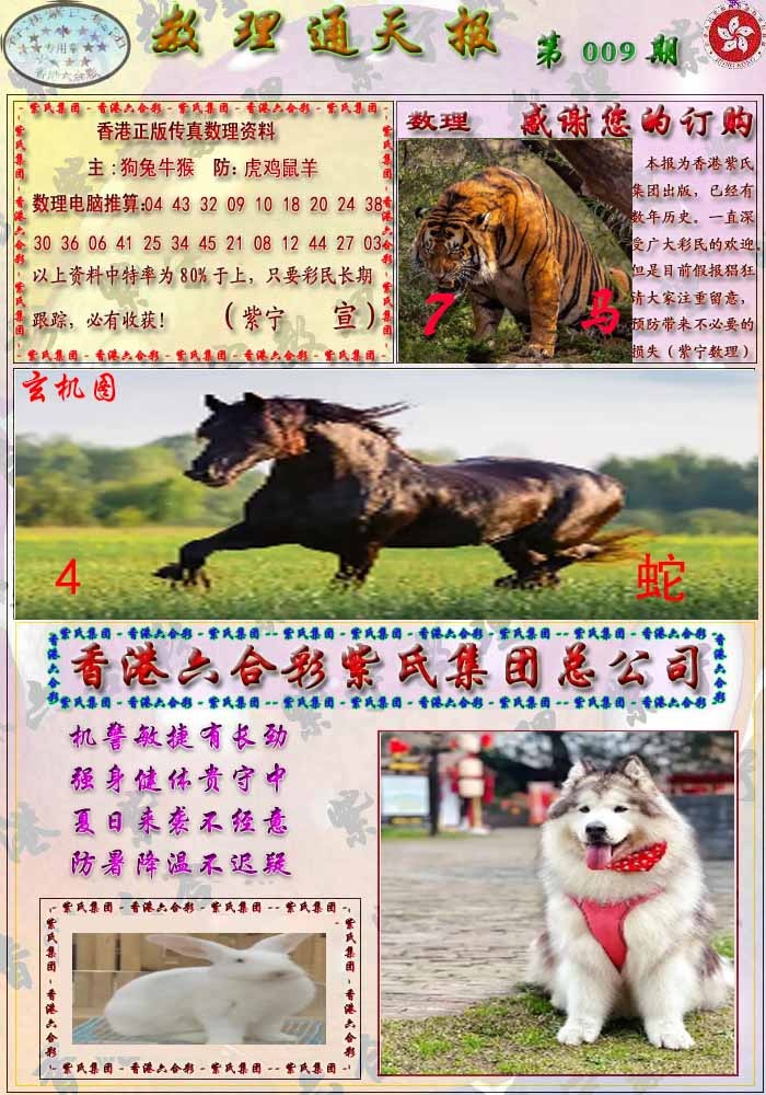 009期数通报[图]