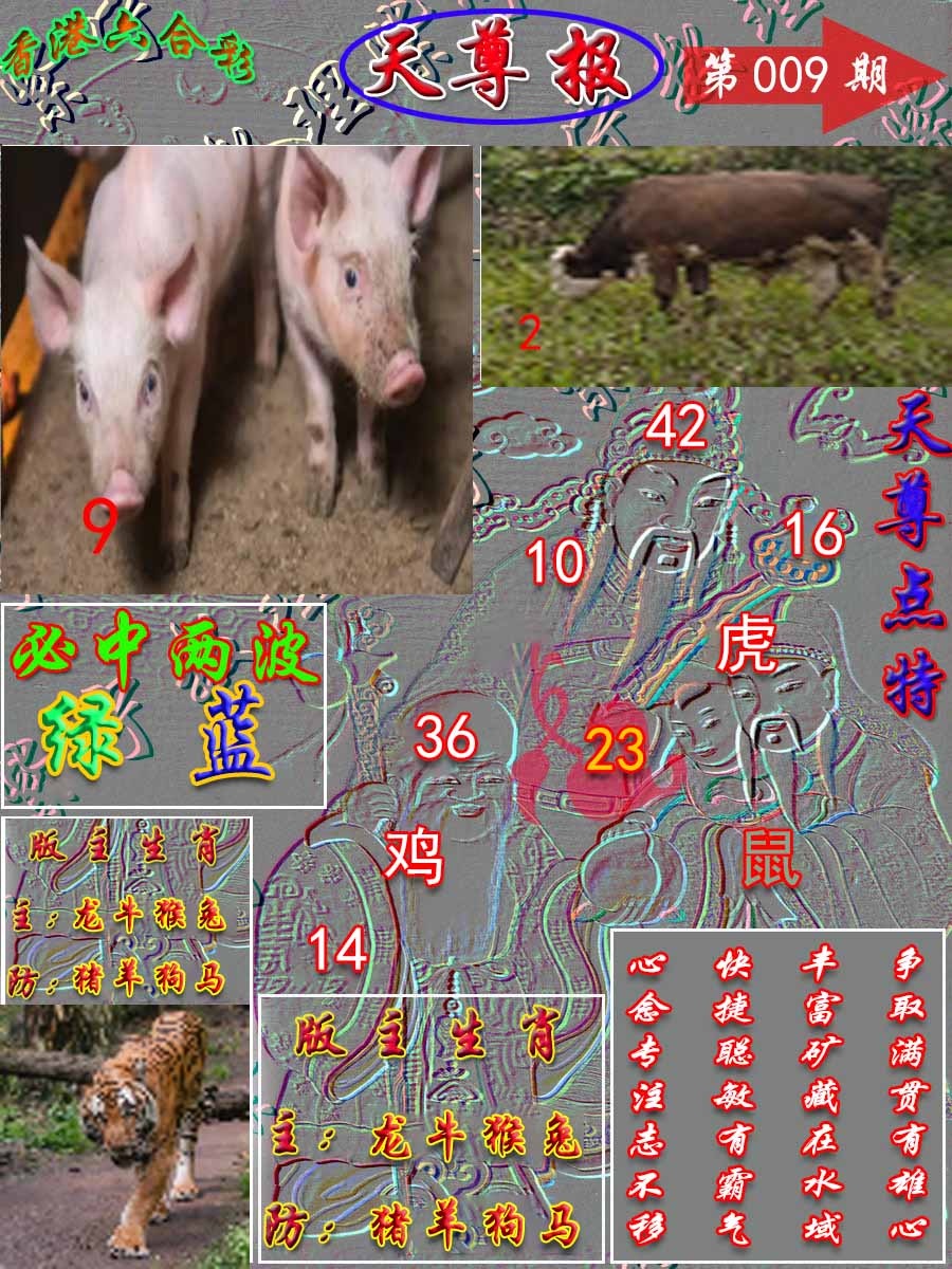 009期天尊报[图]