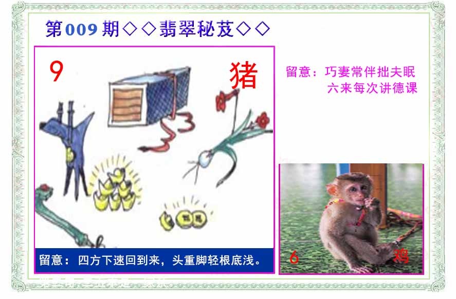 009期翡翠报[图]