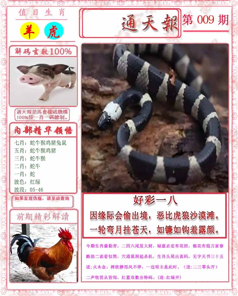 009期马经通天报[图]