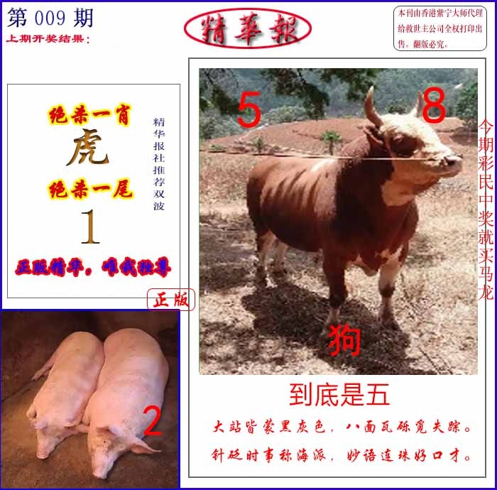 009期新精华报报[图]
