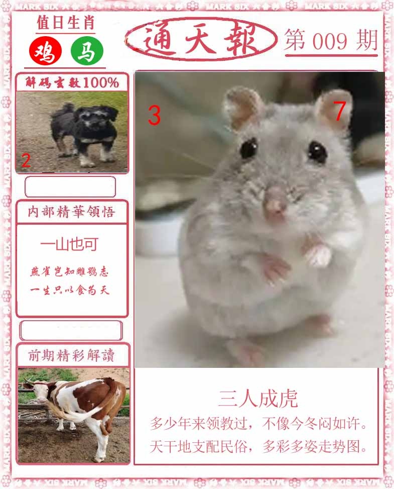 009期正版通天报[图]