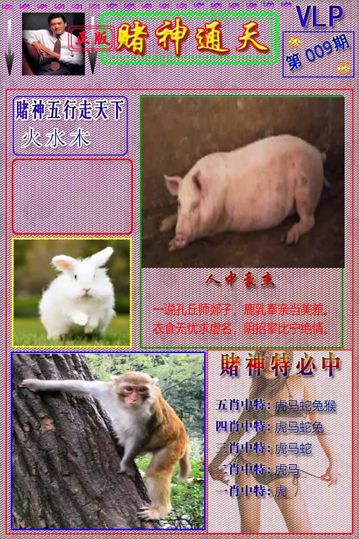 009期赌神通天报[图]