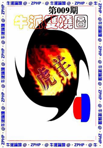 009期牛派双烧报[图]