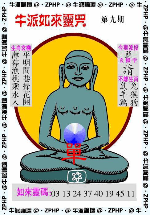 009期牛派如来报[图]