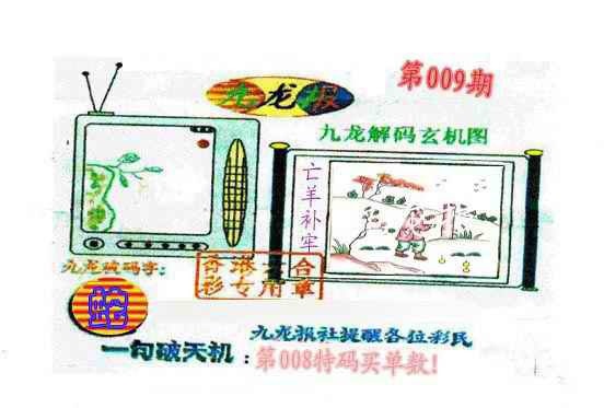 009期九龙报[图]