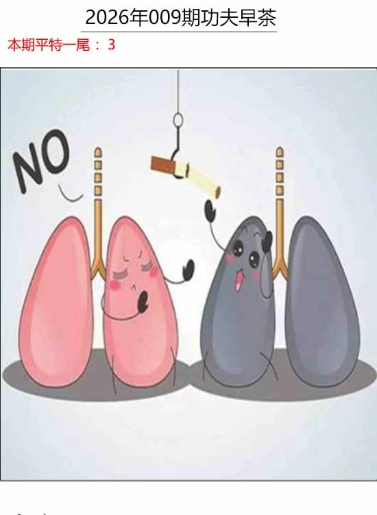 009期功夫早茶[图]