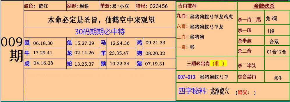 009期小鱼儿30码期期中[图]