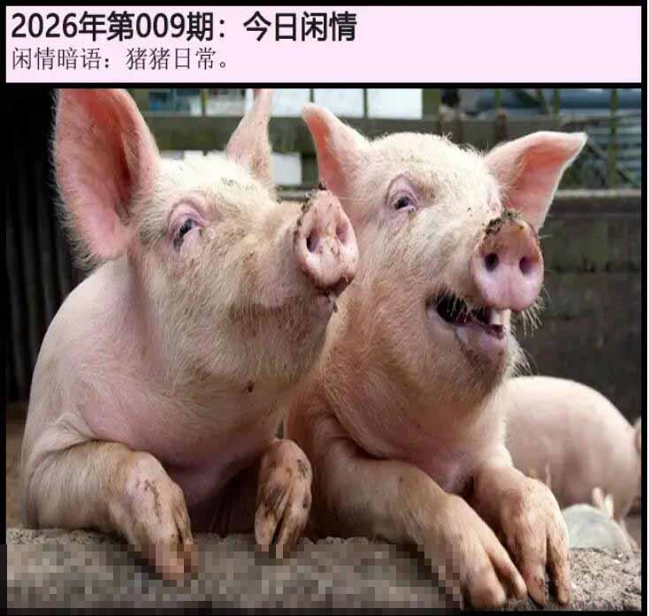 009期另版今日闲情[图]